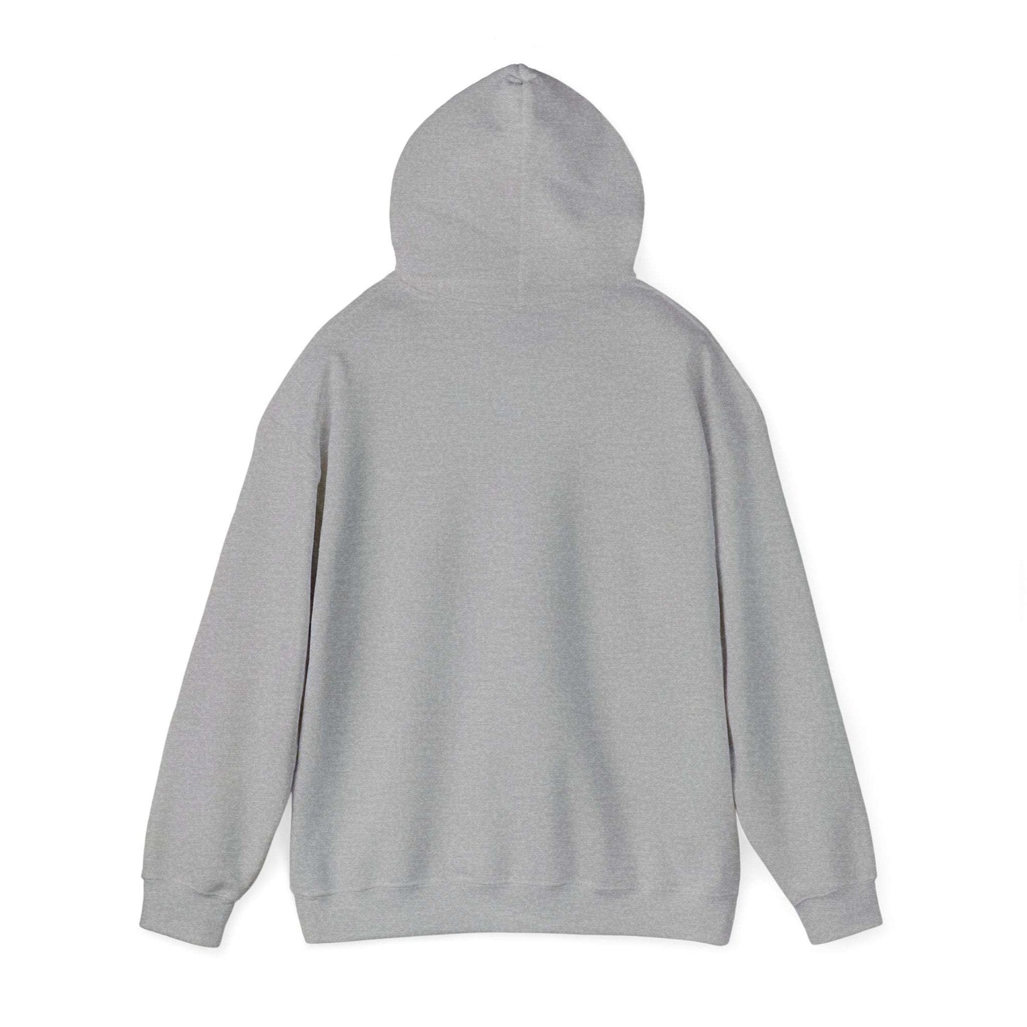 Hoodie "Save a dragon ride a wingleader" WTHINGS - Hoodie "Save a dragon ride a wingleader"