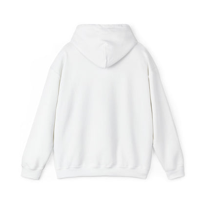 Hoodie "Save a dragon ride a wingleader"