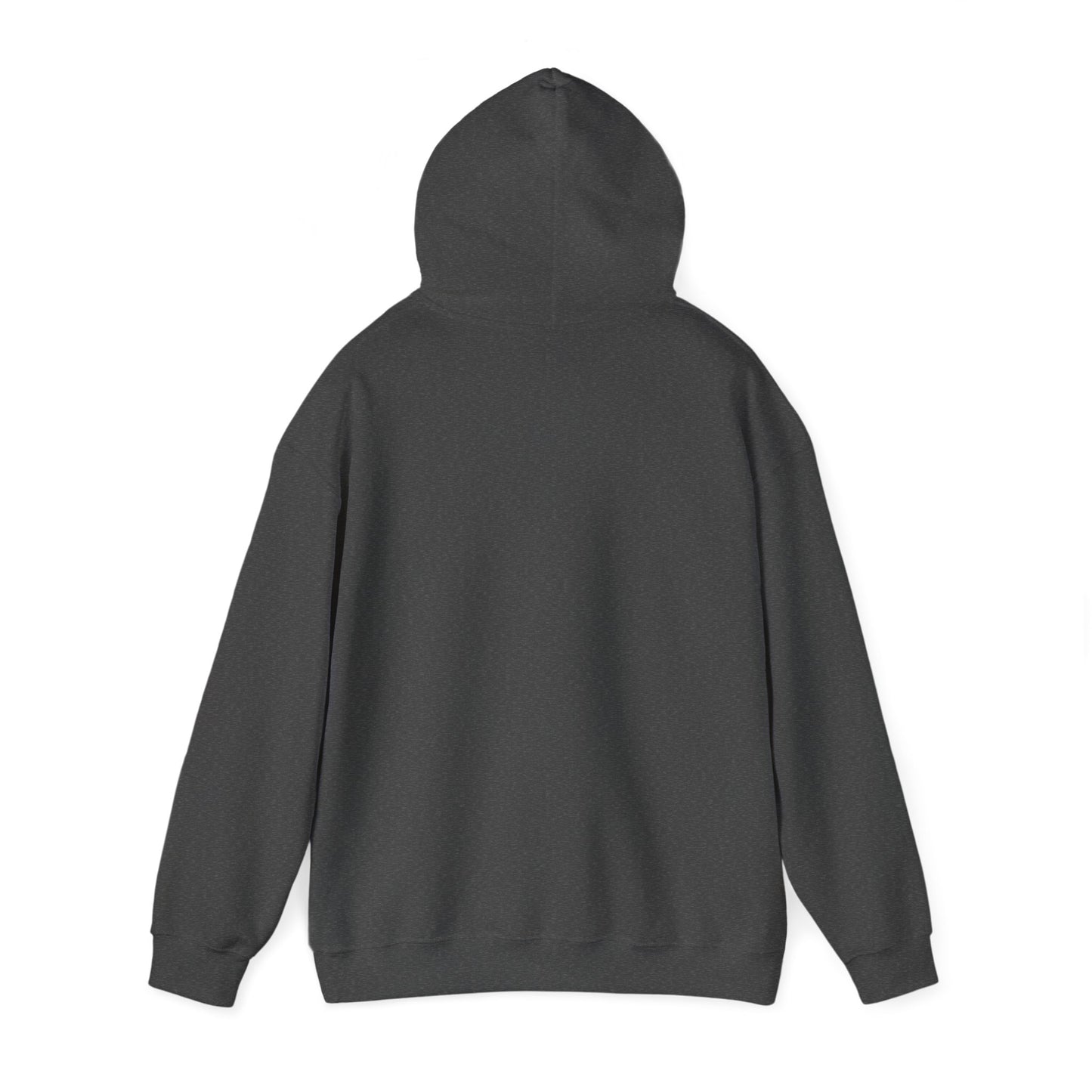 WTHINGS - Hoodie "Save a dragon ride a wingleader"