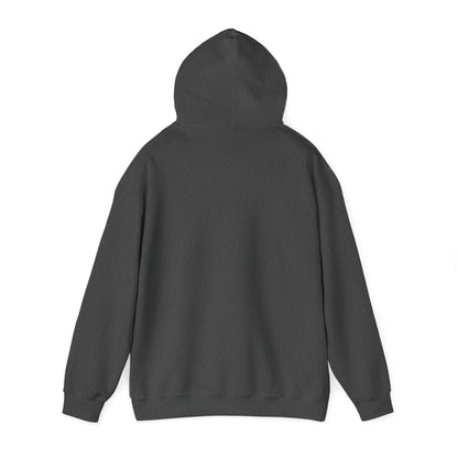Hoodie "Save a dragon ride a wingleader"