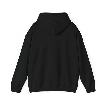 Hoodie "Save a dragon ride a wingleader"