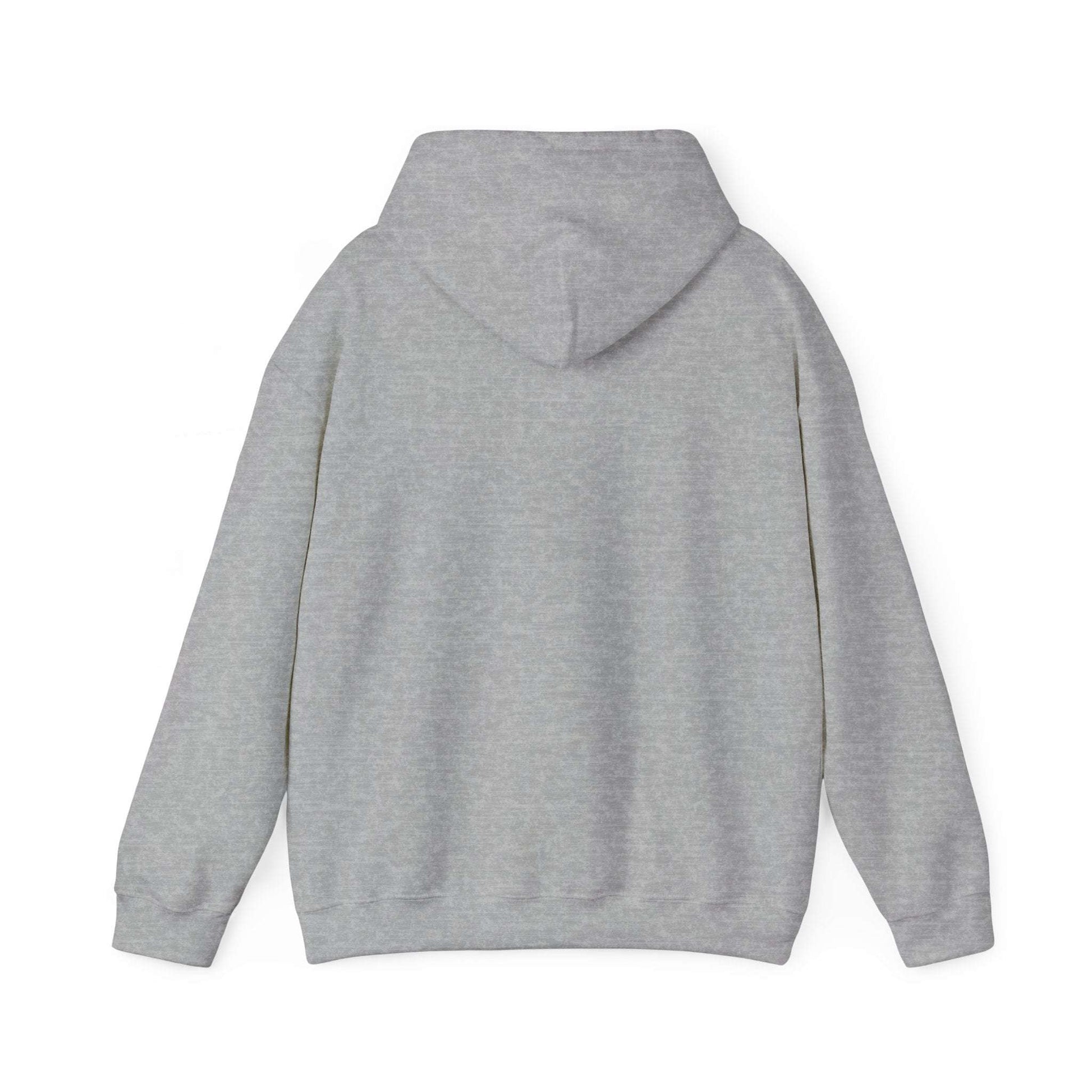 Hoodie "Save a dragon ride a wingleader"
