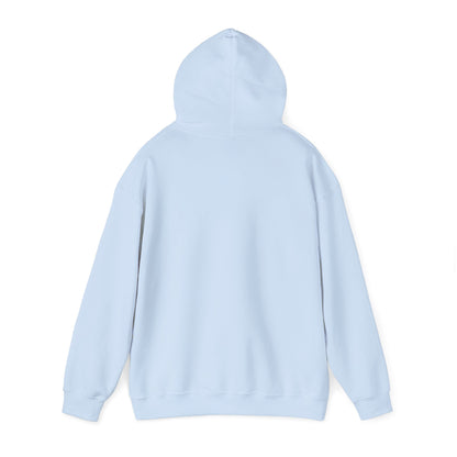 Hoodie "Save a dragon ride a wingleader"