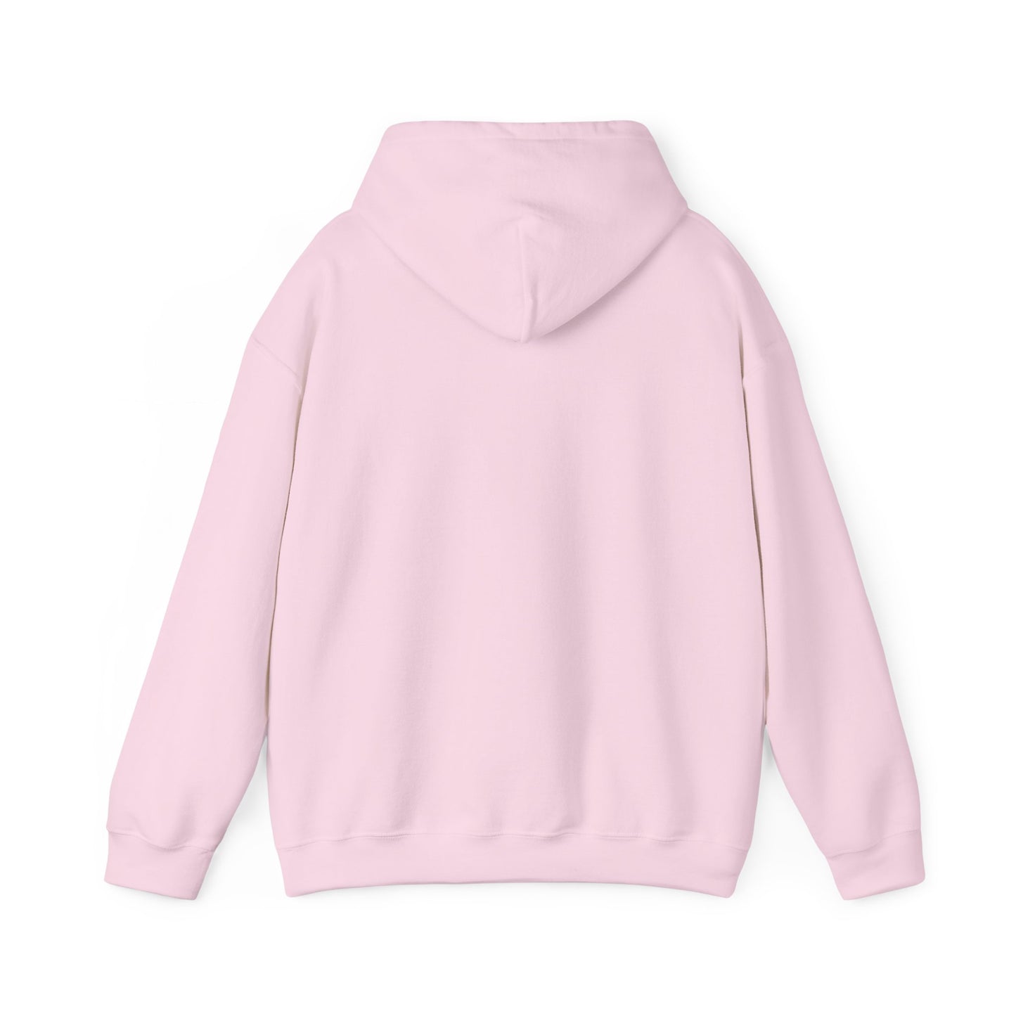 WTHINGS - Hoodie "Save a dragon ride a wingleader"