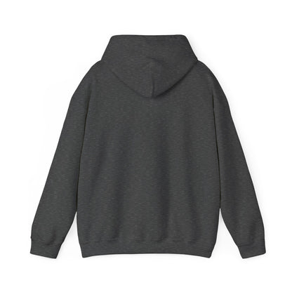 Hoodie "Save a dragon ride a wingleader"